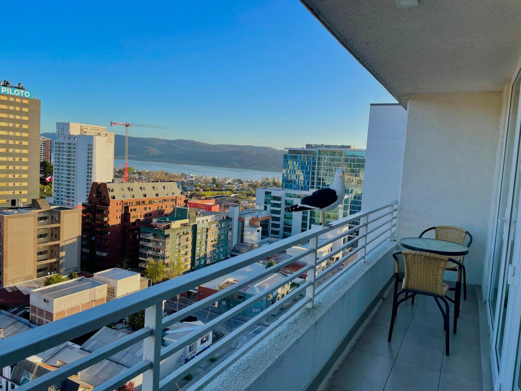 Apartamento Departamento Vista Privilegiada *
